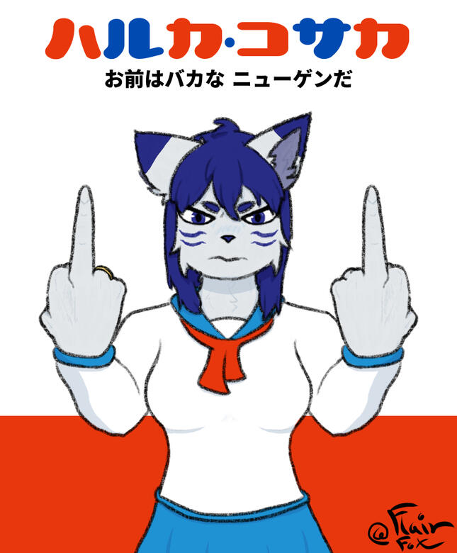 Japanese translate to "Haruka" "Stupid Newgens"